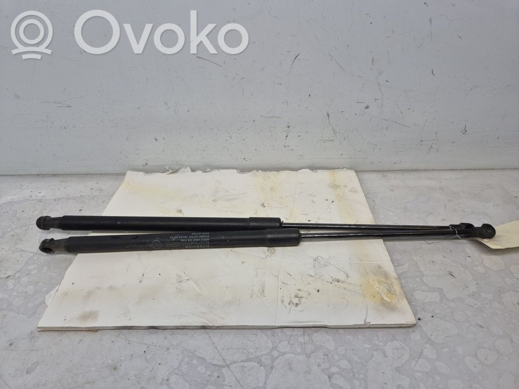Nissan Qashqai Amortizor hayon 