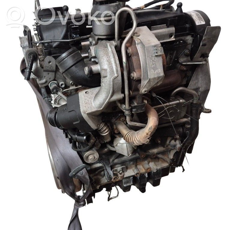 Seat Ibiza IV (6J,6P) Variklis 