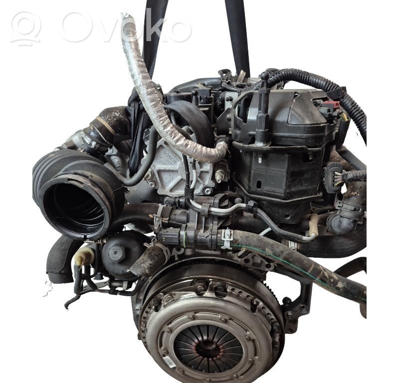 Ford Focus Motore 