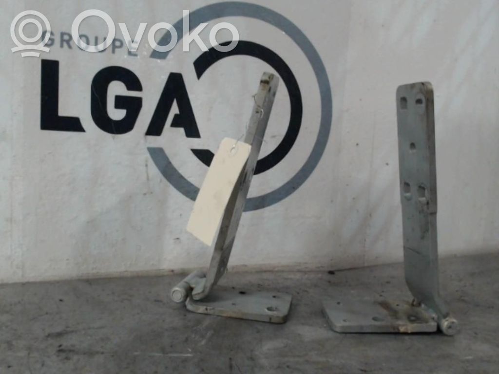 Renault Scenic I Bisagra del maletero/compartimento de carga 