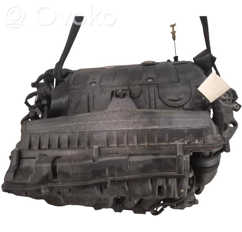 Variklis   11002348271