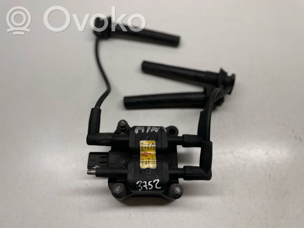Aukštos įtampos ritė "babyna"   2122435