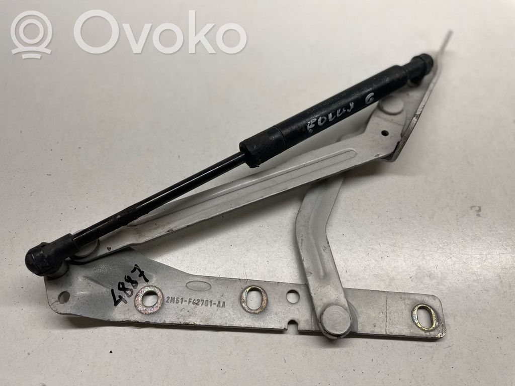 Ford Focus Tailgate/trunk/boot hinge 