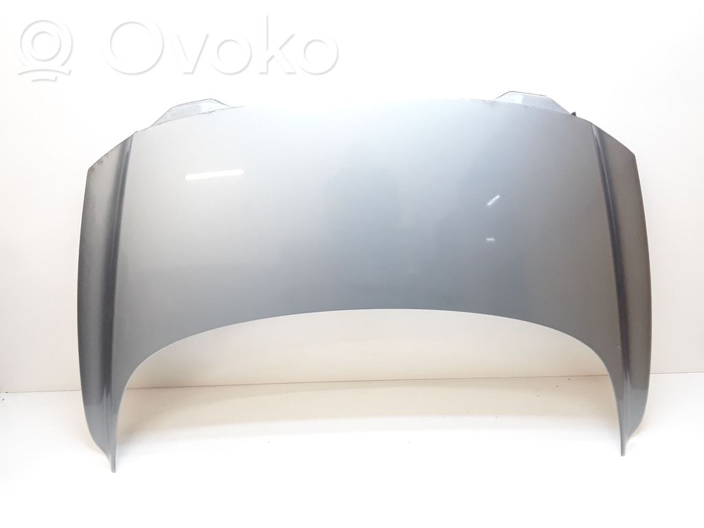 Tailgate/trunk/boot lid
