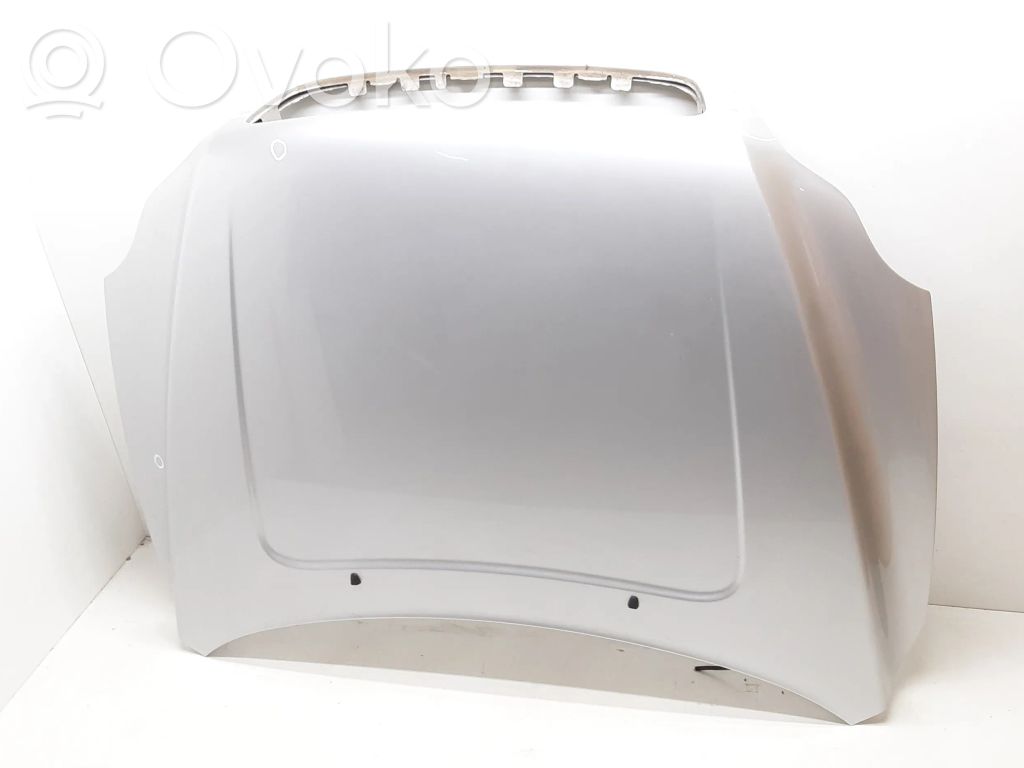 Engine bonnet/hood