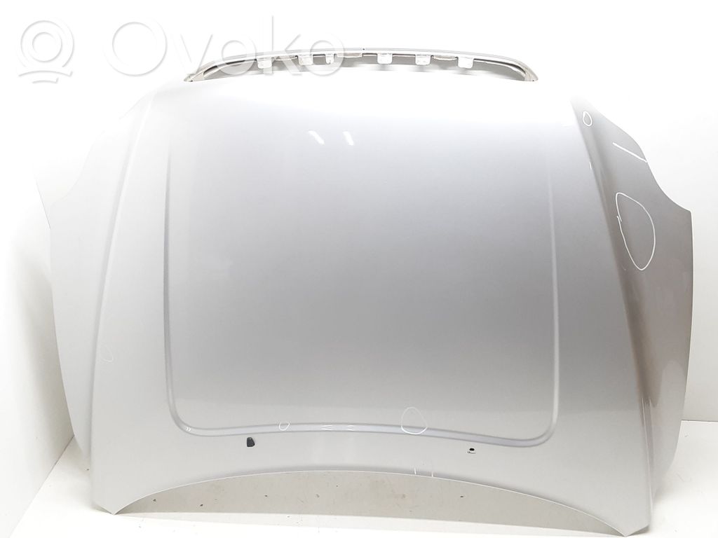 Engine bonnet/hood