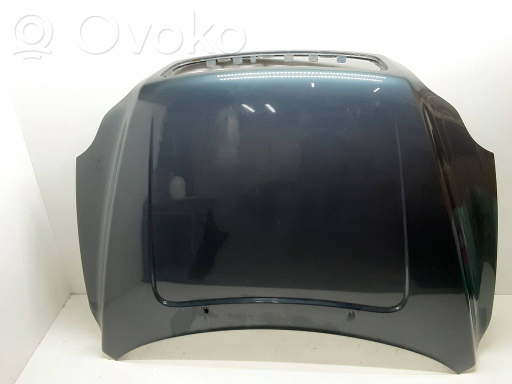 Motorhaube