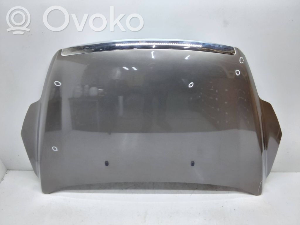 Motorhaube