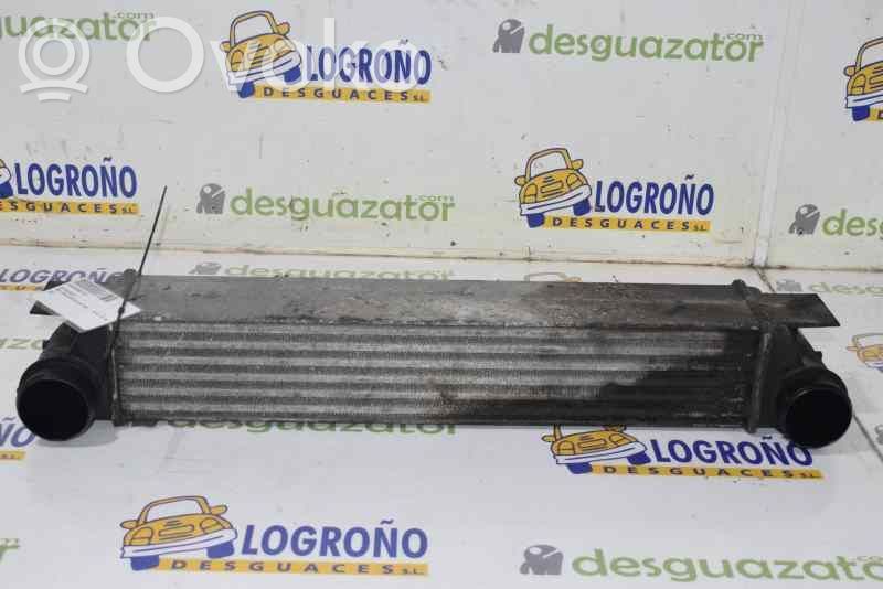 Radiador intercooler   17512247359,17512247359