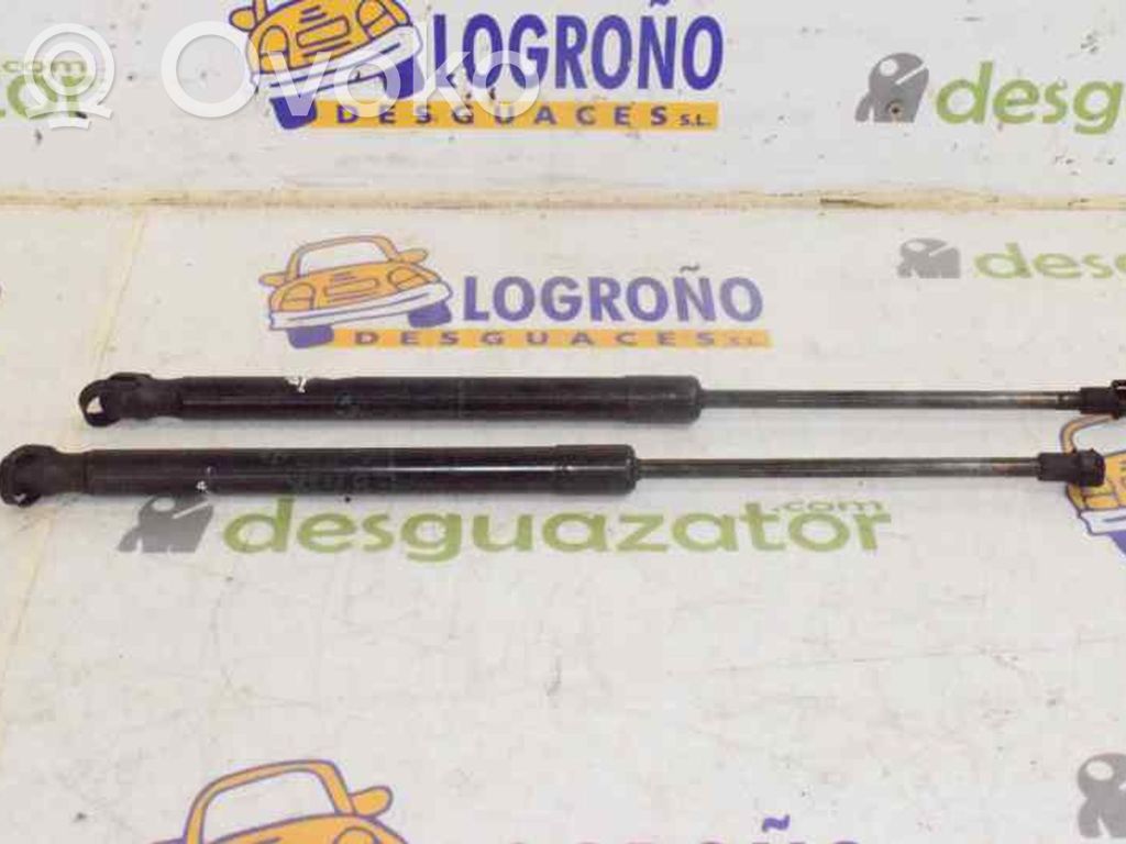 Tailgate/trunk strut/damper   51247060622