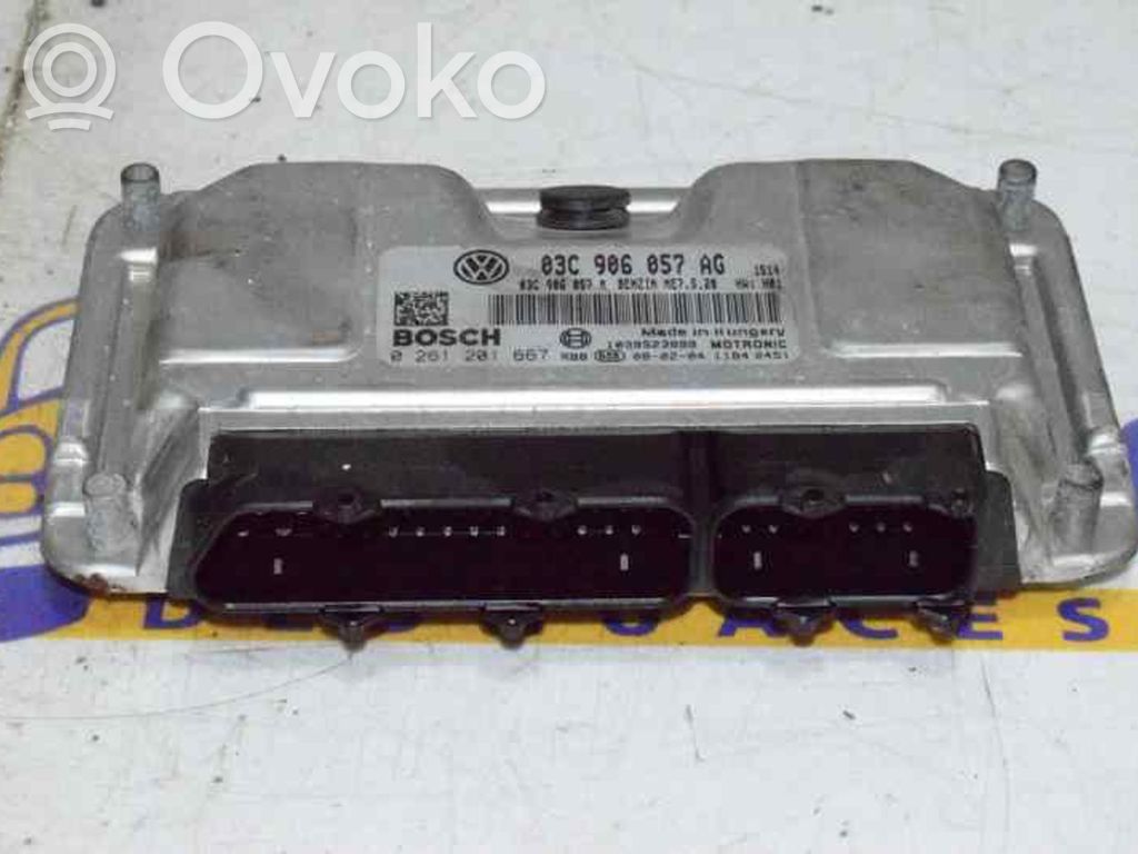Seat Ibiza III (6L) Engine control unit/module 