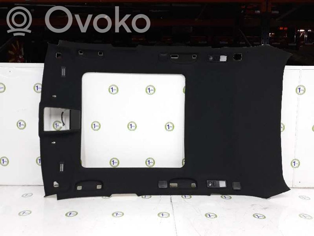 BMW X1 E84 Headlining 