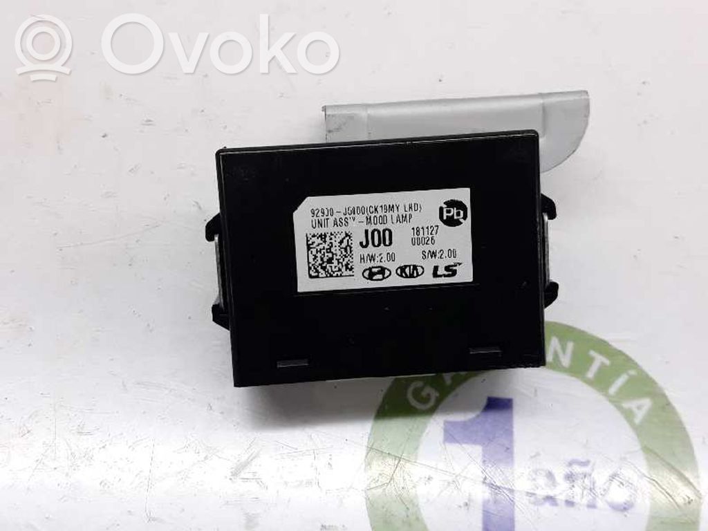 KIA Stinger Other control units/modules 