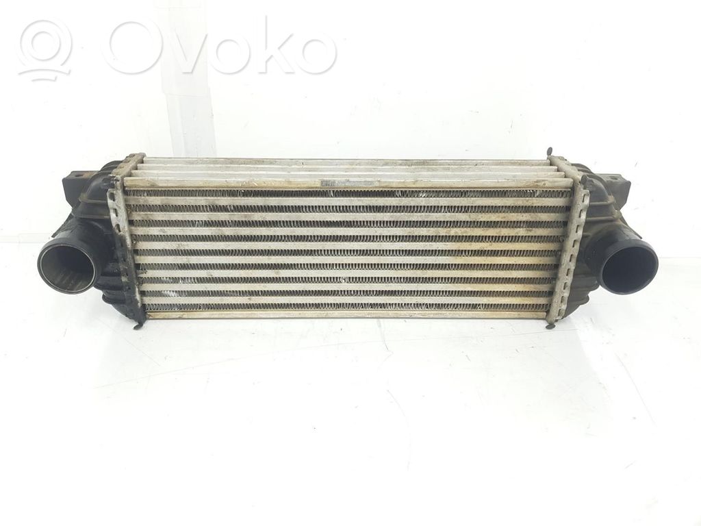 Radiator intercooler   4999282,7T169L440AE