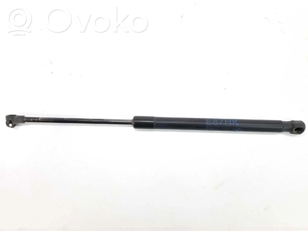 Tailgate/trunk strut/damper   51247060622,5754UY,0400N