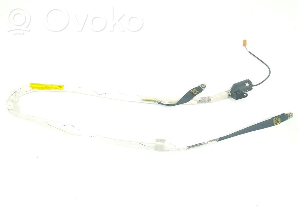BMW 5 E39 Airbag del techo 