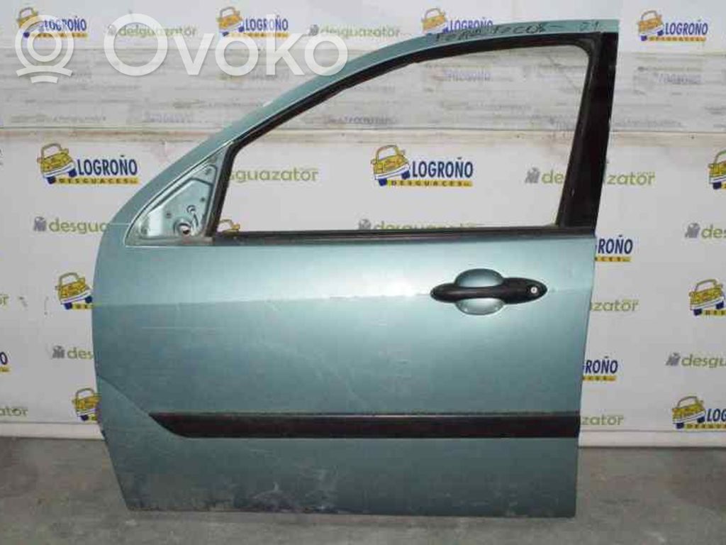 Ford Focus Front door 
