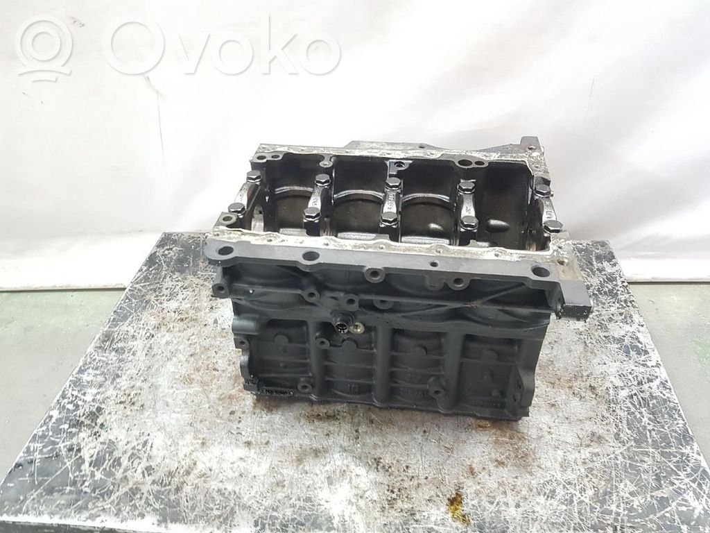 Skoda Octavia Mk2 (1Z) Bloque de motor 