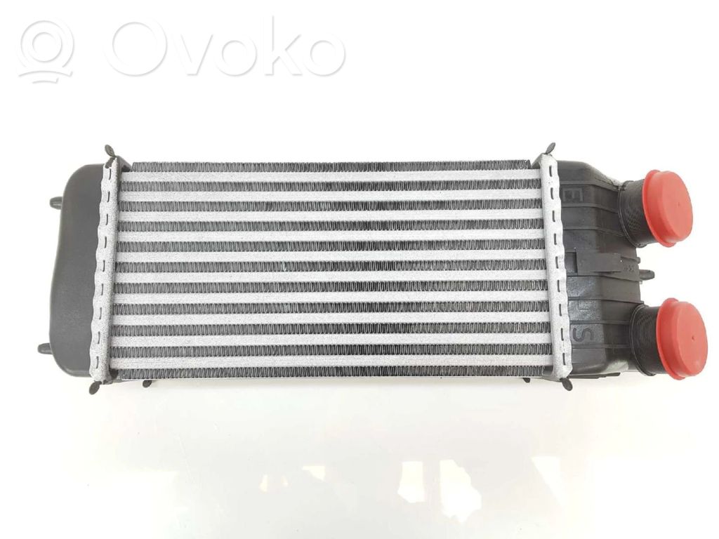 Citroen C2 Intercooler radiator 