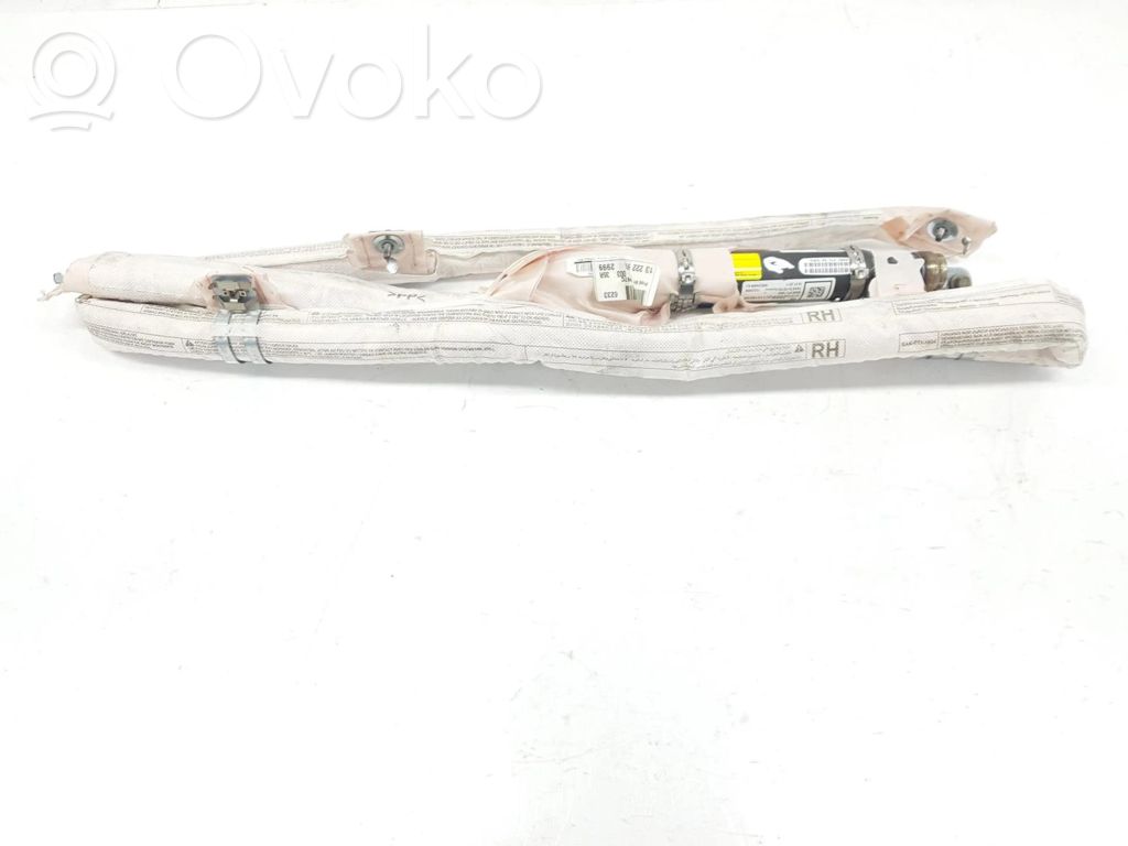 Airbag del techo   13222999,5199393