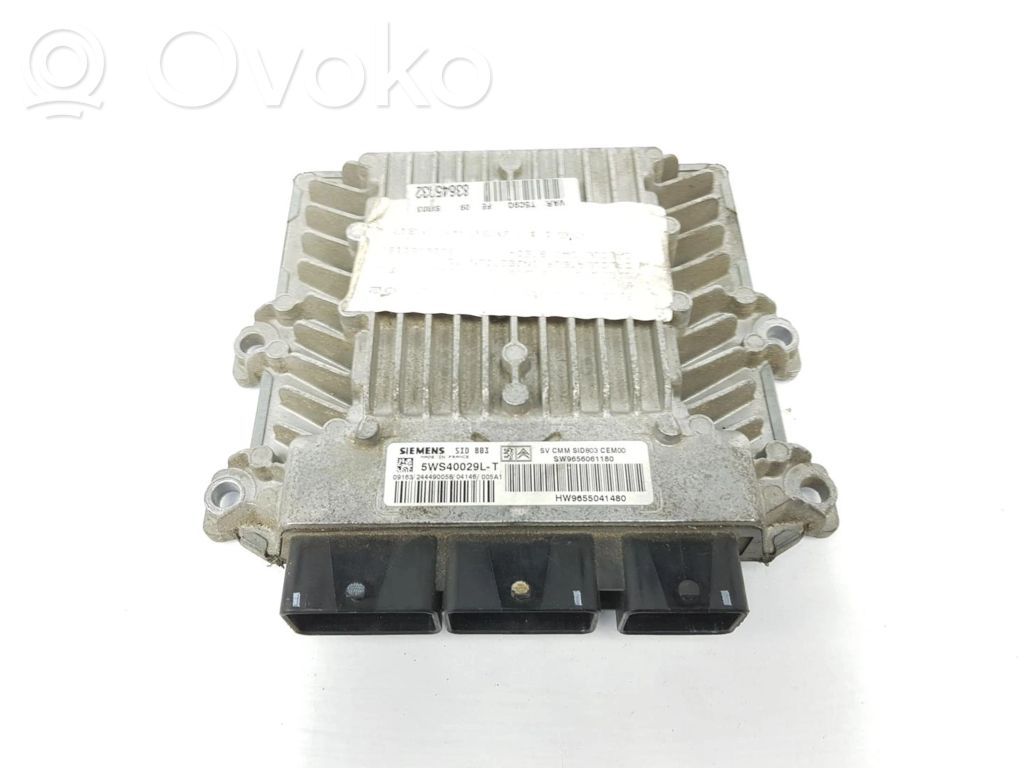 Peugeot 407 Engine control unit/module 
