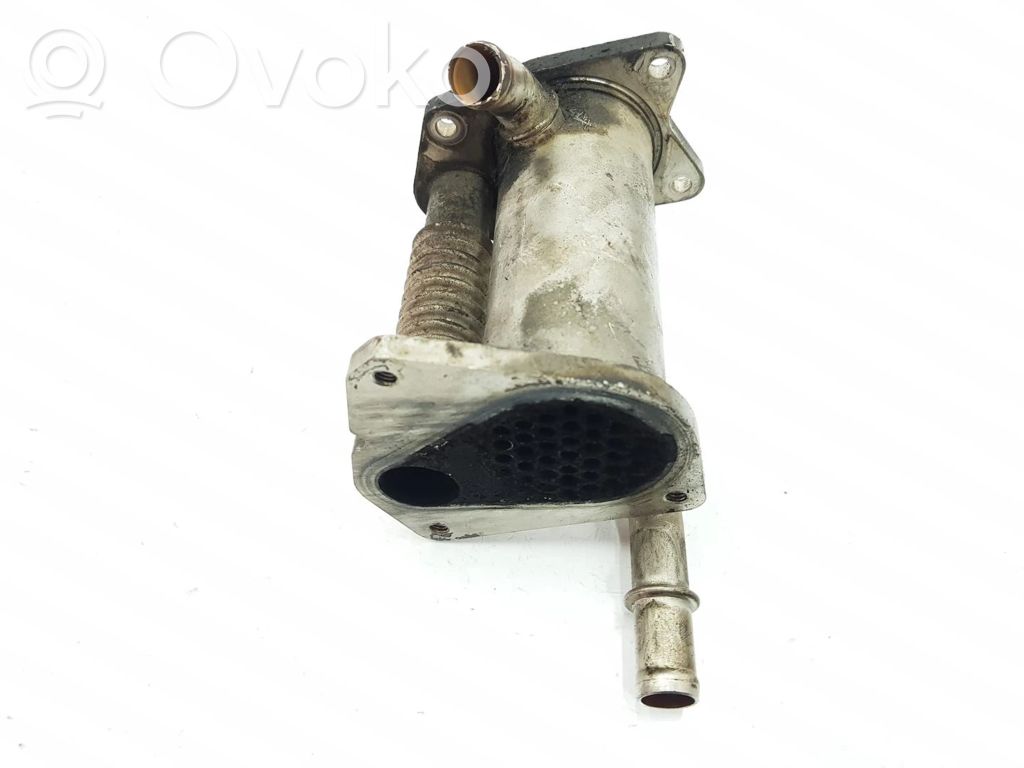 Renault Megane III Valvola di raffreddamento EGR