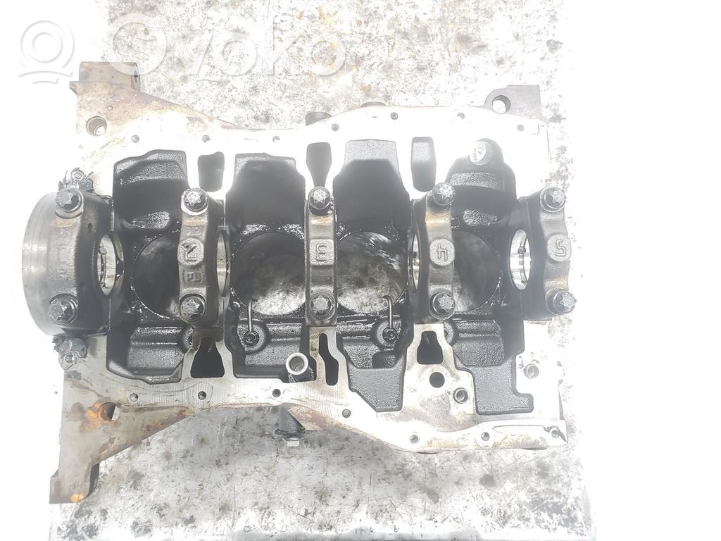 Dacia Duster Engine block 