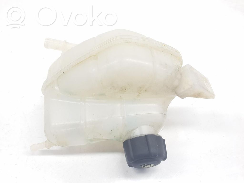 Nissan Qashqai Serbatoio di compensazione del liquido refrigerante/vaschetta