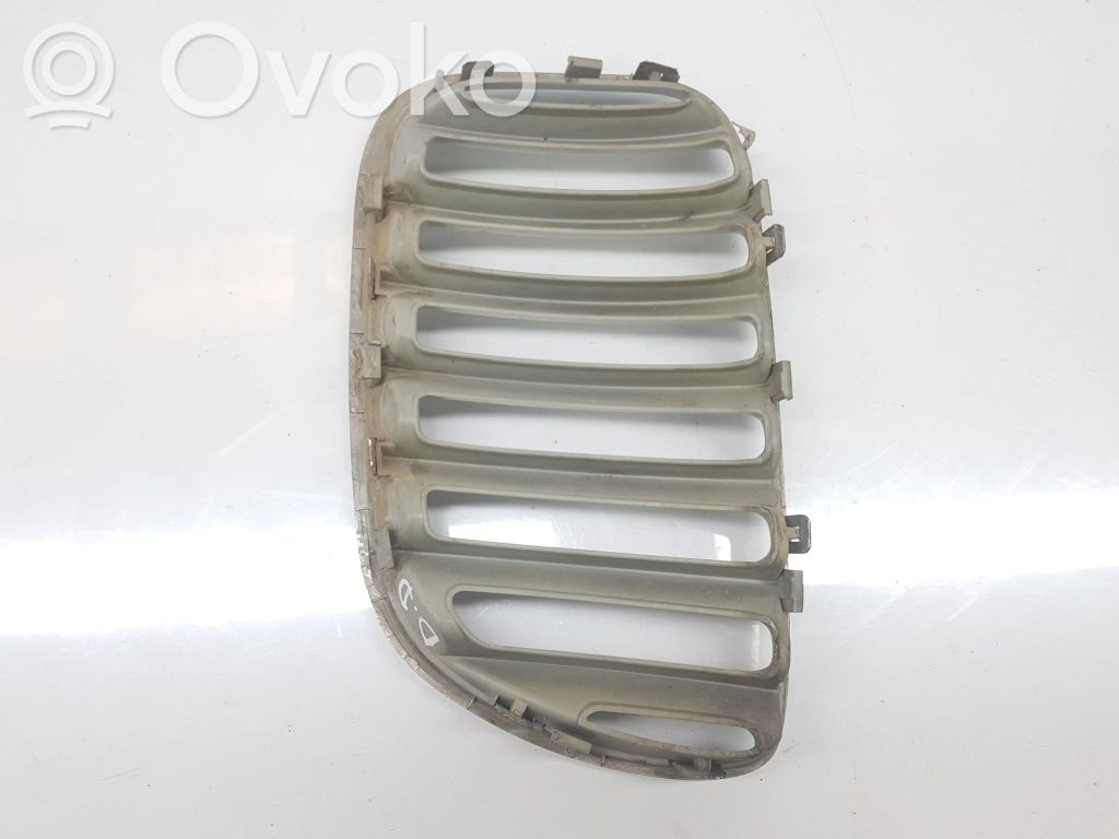 BMW X5 E53 Front grill 