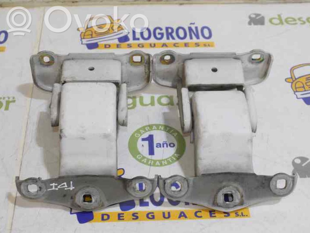 Renault Trafic II (X83) Tailgate hinge 