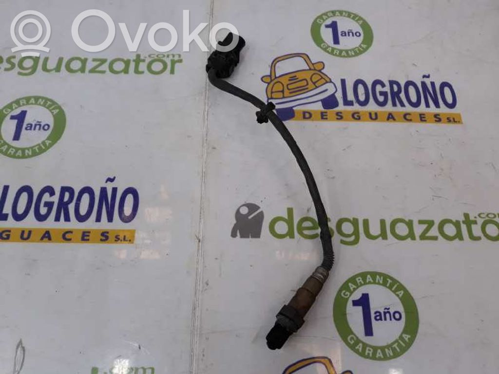 Sonda lambda   55572548,0281004161,55577162