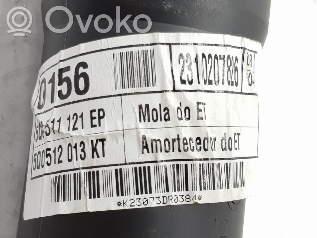 Volkswagen T-Roc Amortizor spate 