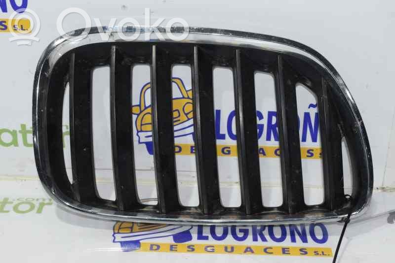 BMW X5 E53 Grotelės priekinės 