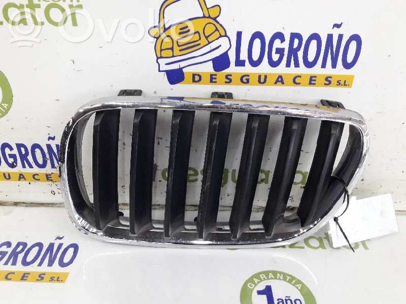 BMW X3 G01 Front grill 