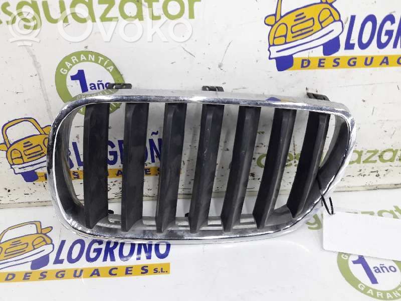 BMW X3 G01 Front grill 