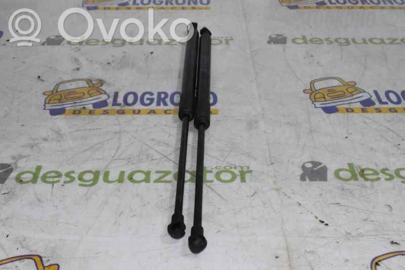 BMW 1 F20 F21 Ammortizzatore portellone posteriore/bagagliaio