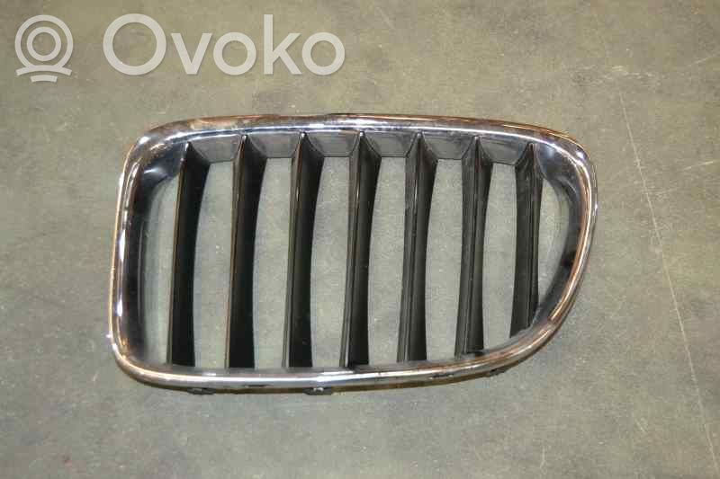 BMW X1 E84 Kühlergrill 