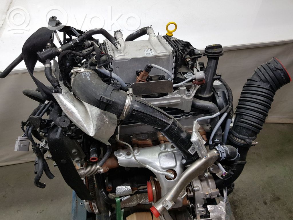 Motor   DNAE,04L100039E