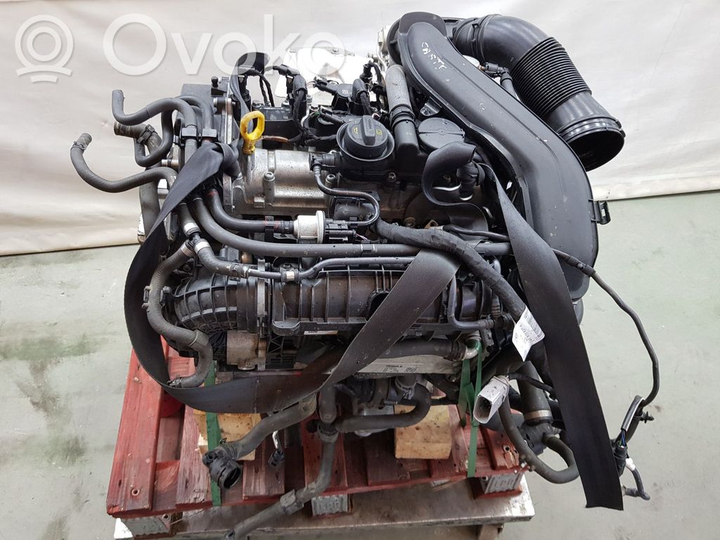 Motor   DACA,05E100031N