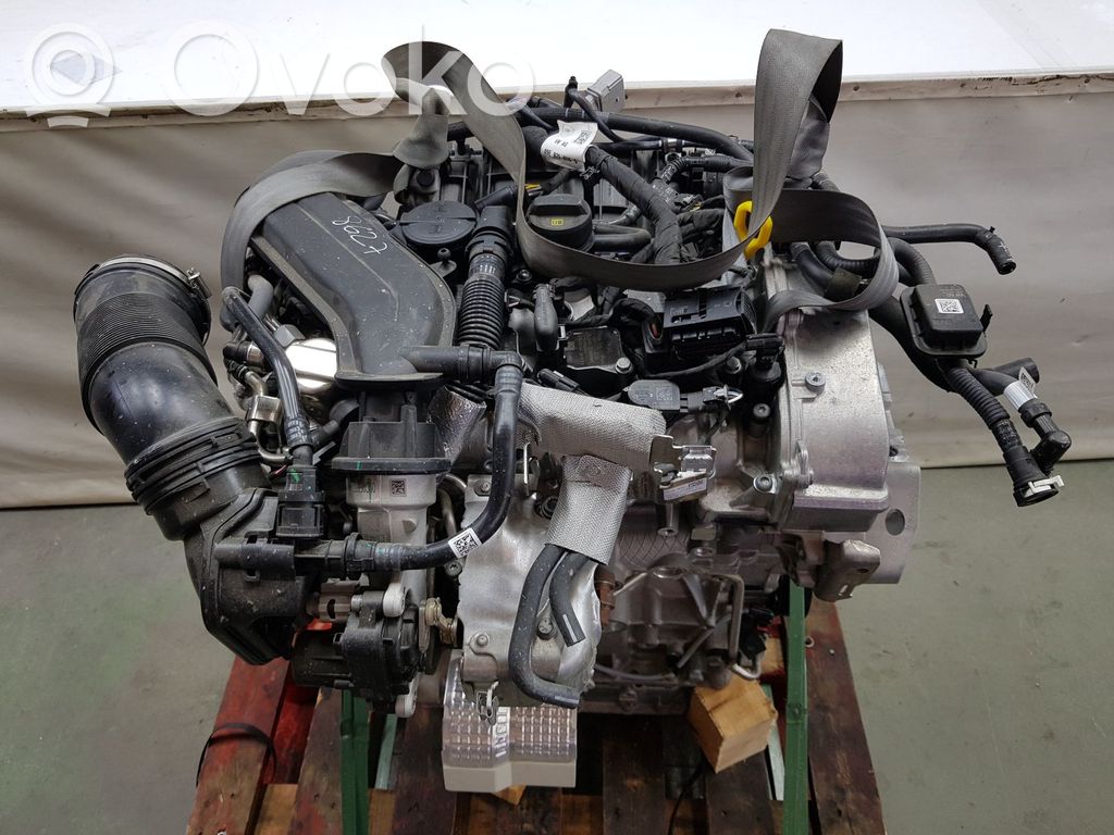 Motor   DXDB,05E100032D