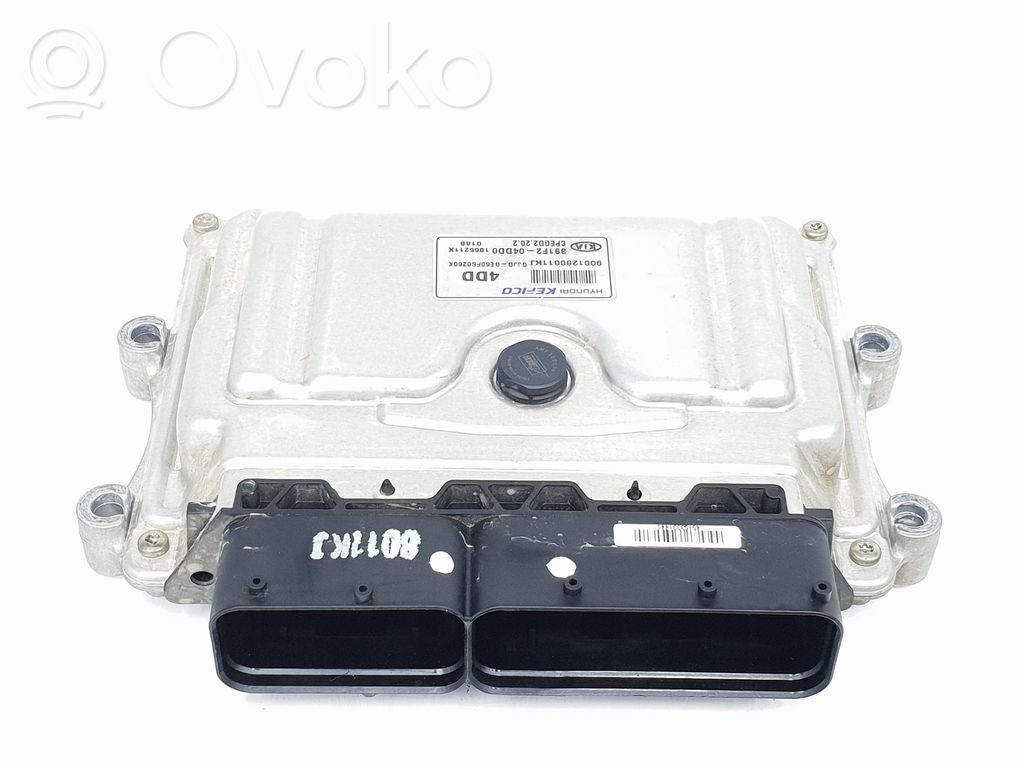 Unidad de control/módulo del motor   391F204DD0,391F204DD0