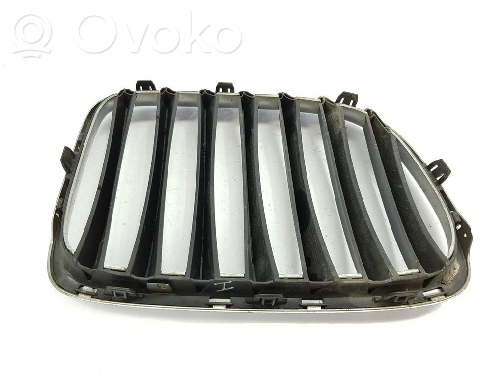Front grill   2993305,51112993305
