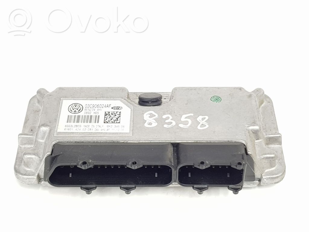Seat Ibiza III (6L) Unitate/modul de control motor 
