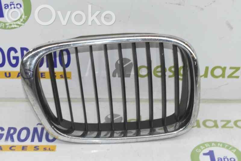 BMW 5 E39 Front grill 