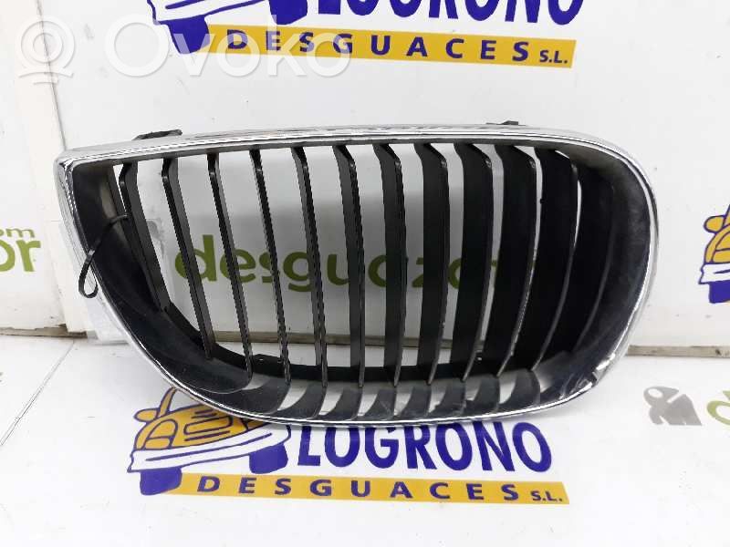 BMW 1 E81 E87 Front grill 