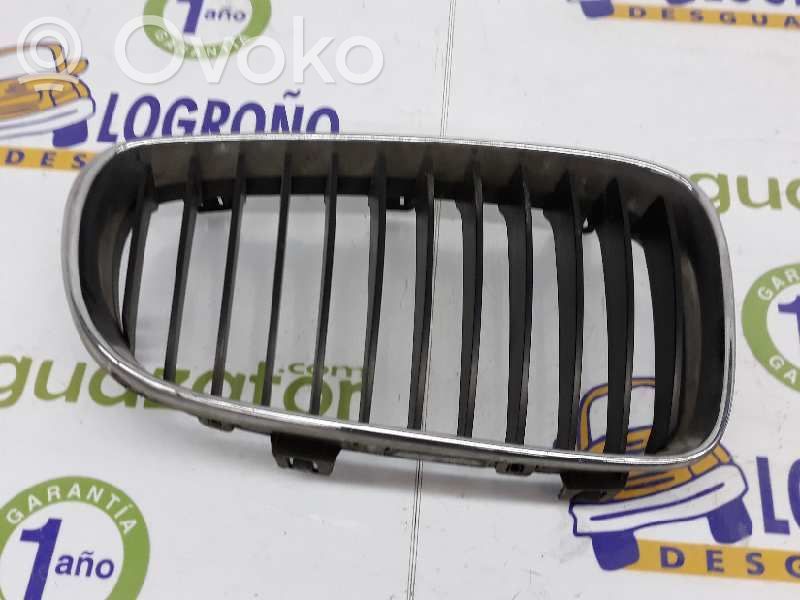 Rejilla delantera   51137077130,51137077130