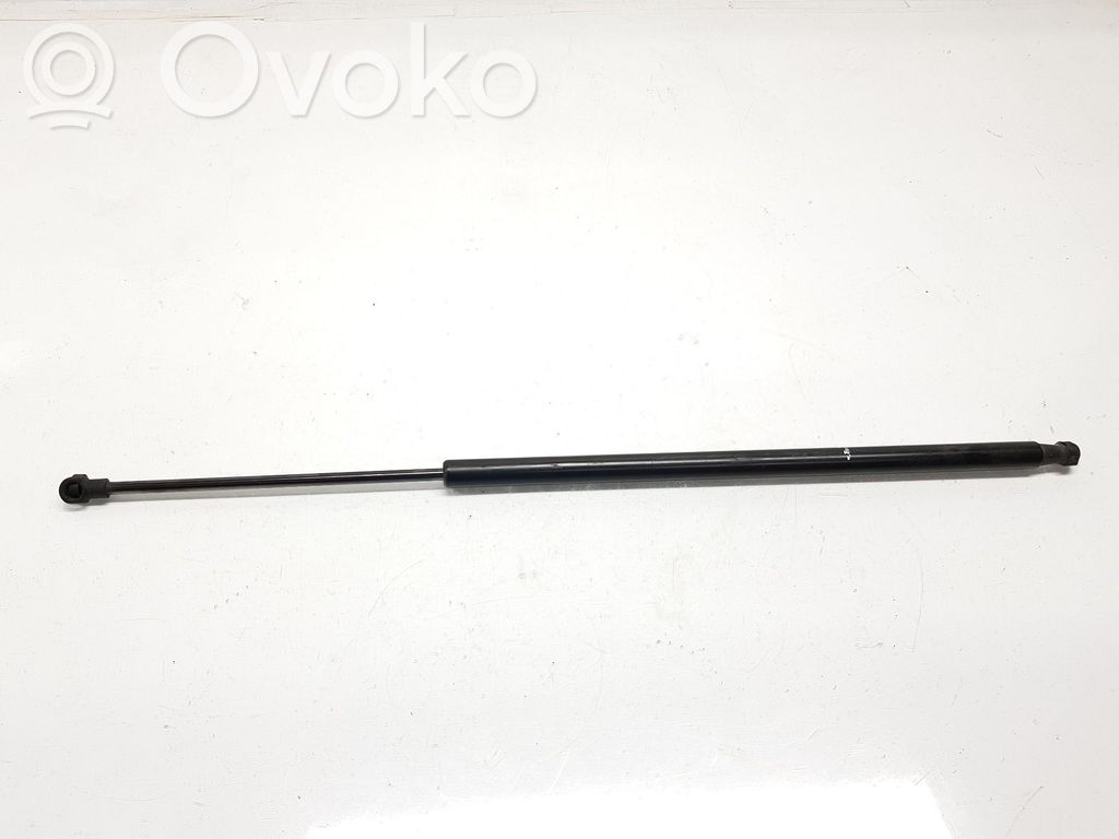 Tailgate/trunk strut/damper   7118885,7118885