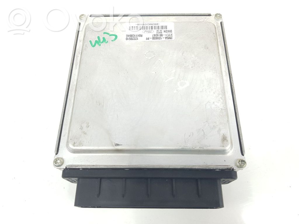 Ford Focus Engine control unit/module 