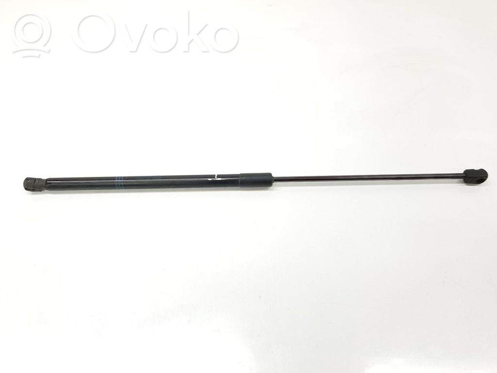 Tailgate/trunk strut/damper   13428064,39089134