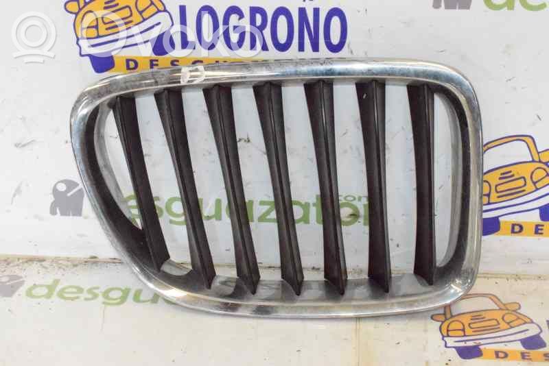 BMW X1 E84 Front grill 